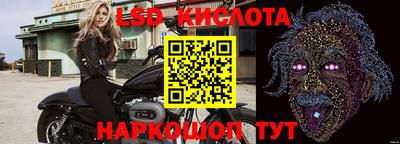 jwh Сланцы