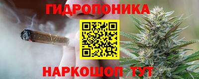ПСИЛОЦИБИНОВЫЕ ГРИБЫ Славгород