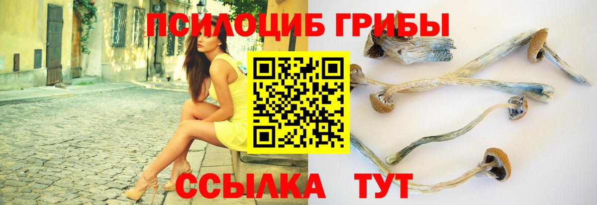 Галлюциногенные грибы ЛСД  цены наркотик  Подольск  Вход с VPN 